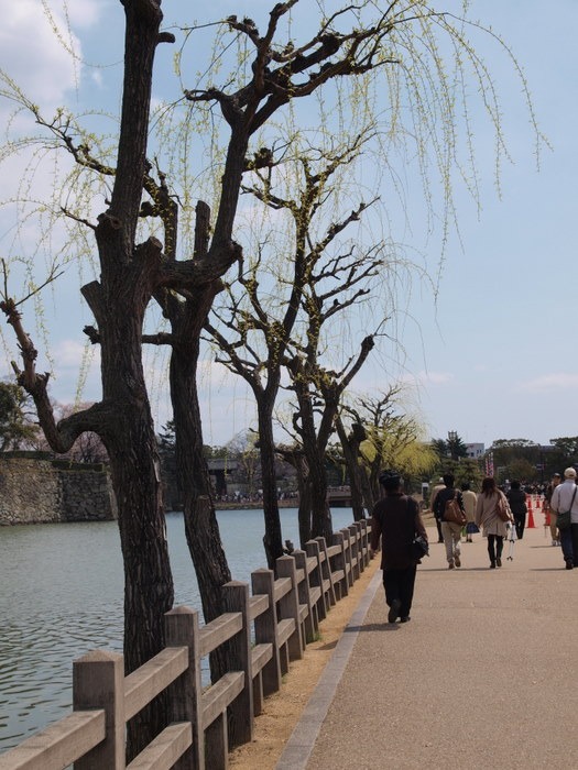 ４月３日～４日姫路城＆淡路島_c0116915_23502978.jpg