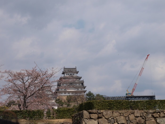４月３日～４日姫路城＆淡路島_c0116915_23512998.jpg
