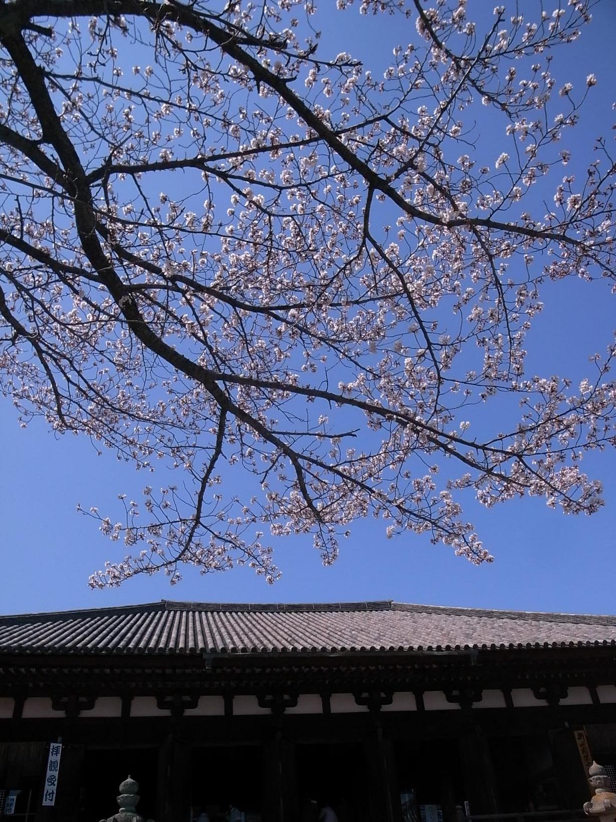 f0116817_1503383.jpg