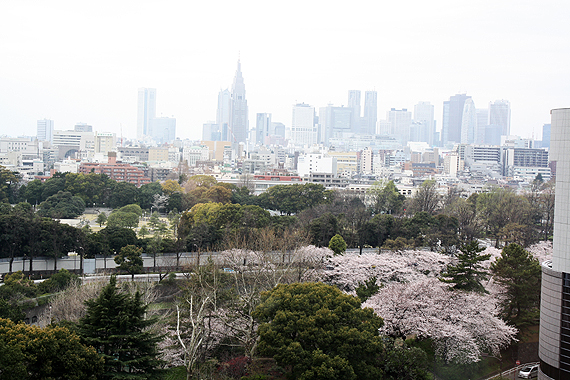 花冷えなので、ラウンジから花見だー♪_f0170519_23565267.jpg