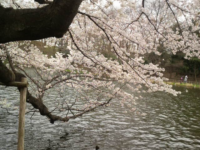 f0136723_1601573.jpg