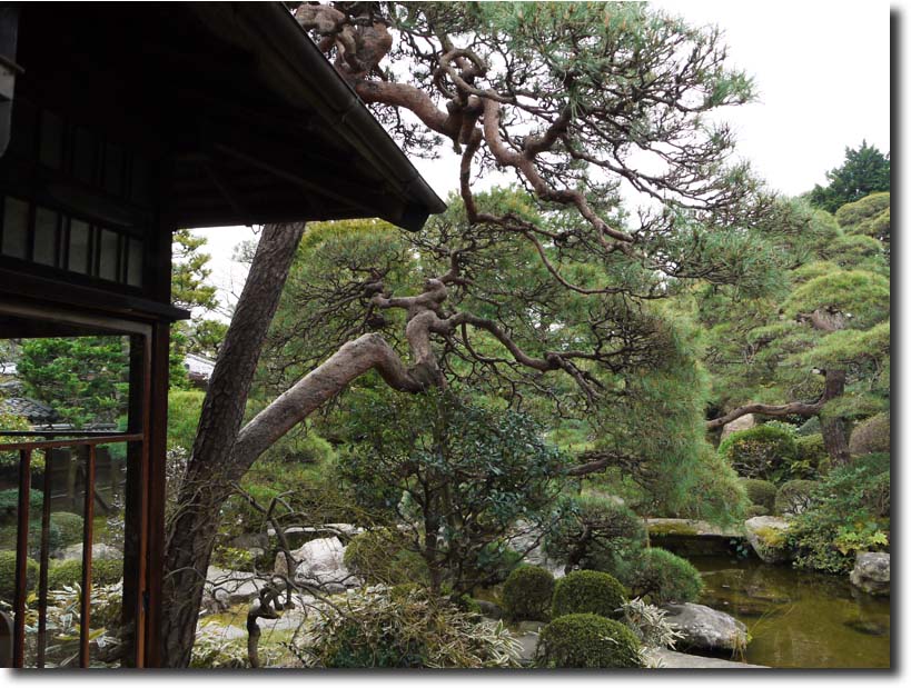 大正ロマンの建築・山本亭_c0121824_1785116.jpg