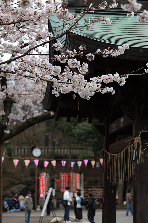 川越春まつりの様子（喜多院）_e0165326_212427.jpg