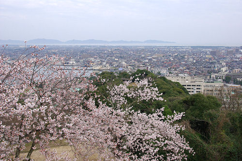 f0007926_9374130.jpg