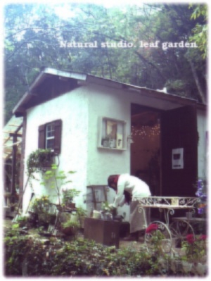 natural studio leaf garden です。_b0177130_1554922.jpg