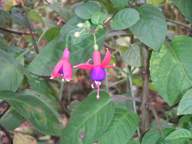 c0127933_20354152.jpg