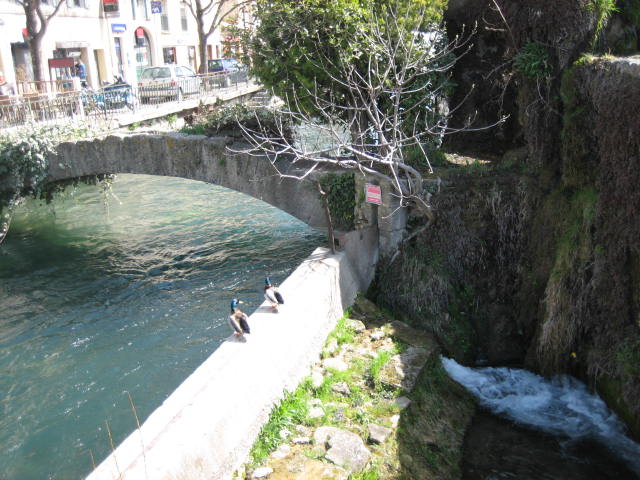 b0167334_21355664.jpg