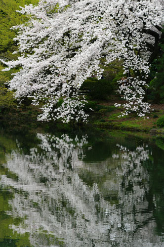 e0146037_22311370.jpg