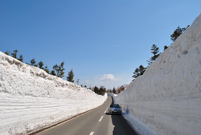 十和田ゴールドライン雪の回廊_d0107838_181213.jpg