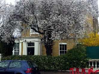c0183239_1353410.jpg