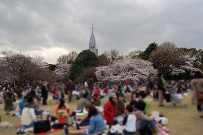 東京の花見_d0123346_0224051.jpg