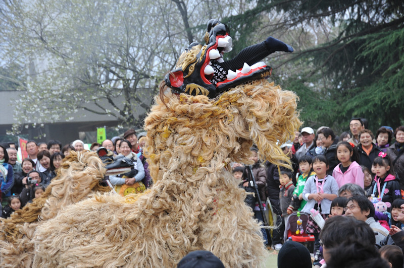 昇龍祭太鼓＠光が丘公園_e0138546_20331914.jpg