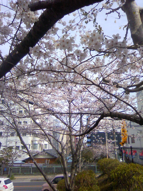 f0108346_21104489.jpg