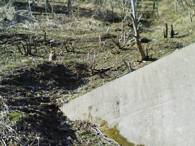 f0111747_2263564.jpg