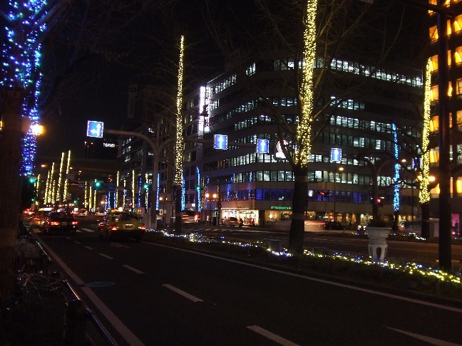 Illumination in Midosuji Avenue_e0046748_2145688.jpg