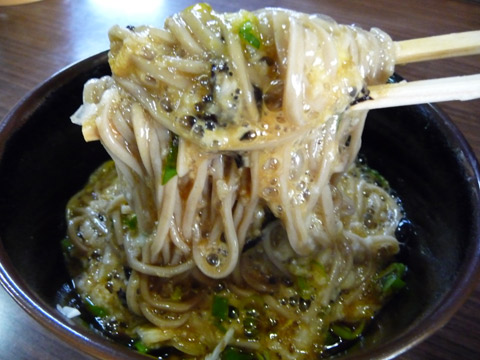 【4月5日(月)】46歳の春。_c0221349_16264232.jpg