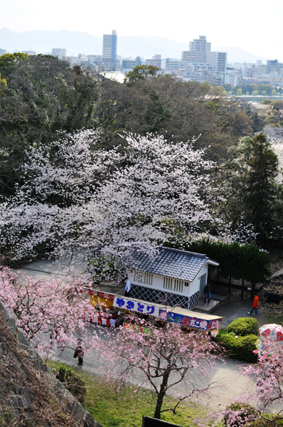 卒業旅行・1 福岡_a0003650_2349198.jpg