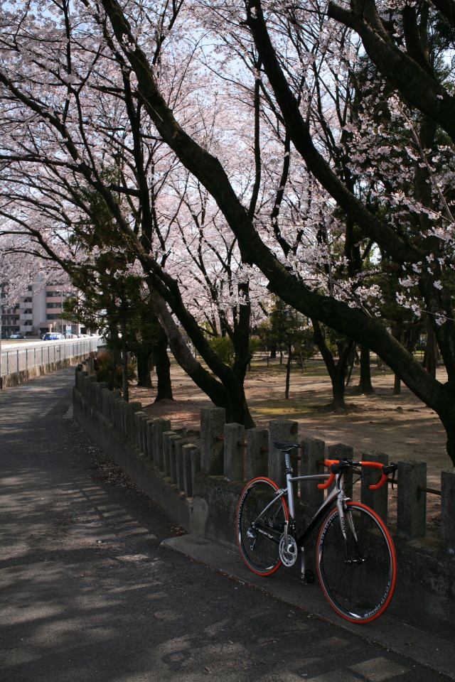 b0078651_2243486.jpg