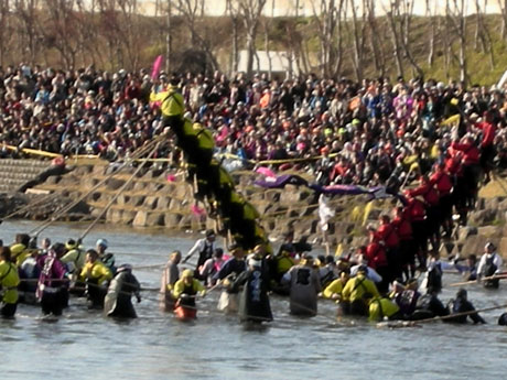 諏訪御柱祭は天下の奇祭_e0118654_10112723.jpg