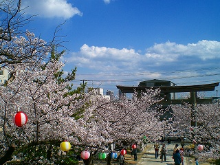 d0006756_11415485.jpg