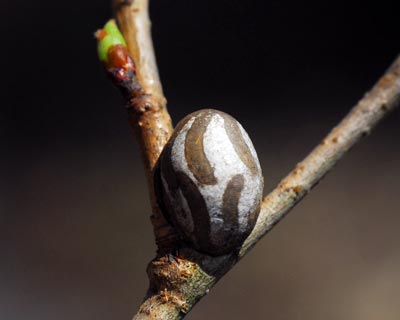 e0035757_0455068.jpg