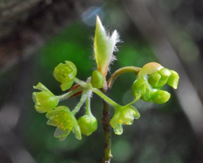 e0035757_0482283.jpg