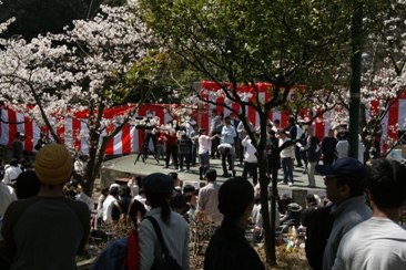 花見＠京都２０１０_e0036459_23441624.jpg