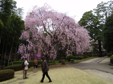 徳川慶喜別邸　戸定邸吟行_c0167560_23255422.jpg