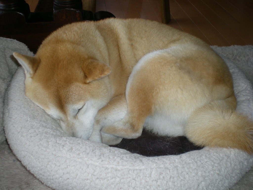 2010年4月5日(月)秀ちゃんラーメン、ケータリングパーティ!_f0060461_10393899.jpg