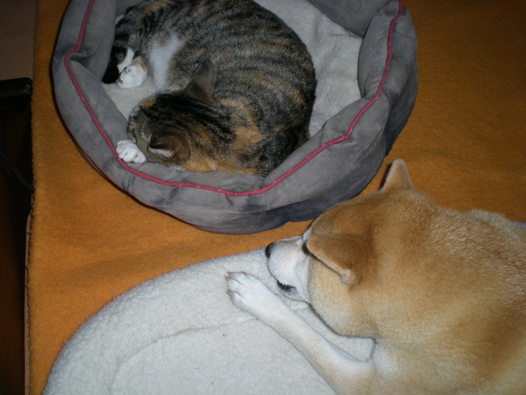 2010年4月5日(月)秀ちゃんラーメン、ケータリングパーティ!_f0060461_2024473.jpg