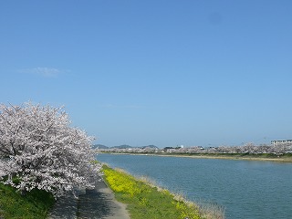 柏崎原発が地震後の二日間に700年分の放射能を放出していた。_b0086362_22111056.jpg