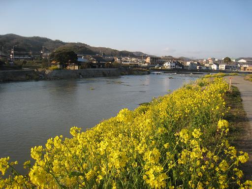 各駅停車の旅_f0205367_19255493.jpg