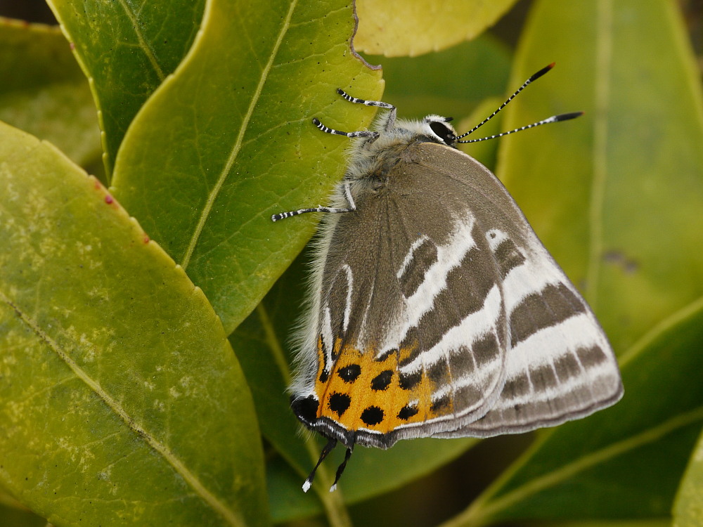 a0146869_51242.jpg