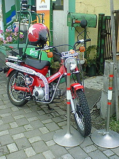 世間は花見だがね。_c0060469_2253467.jpg