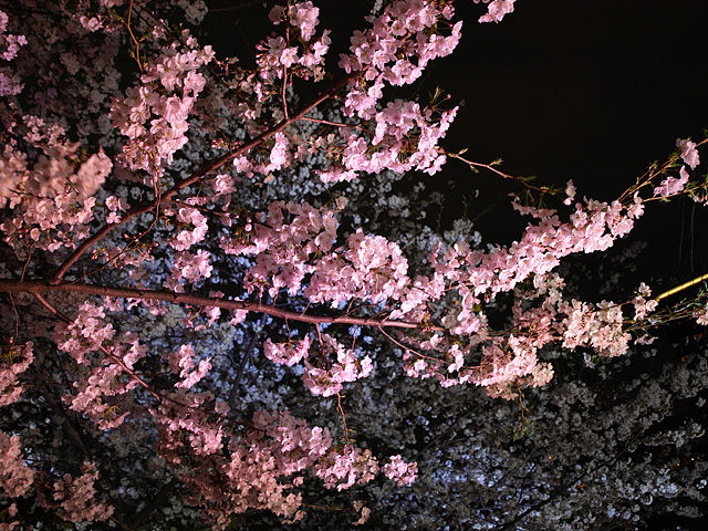 b0006870_0471777.jpg