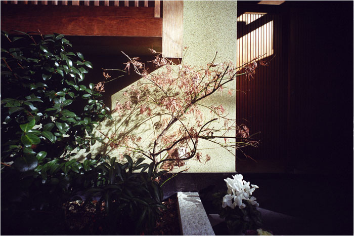 c0168172_2223436.jpg