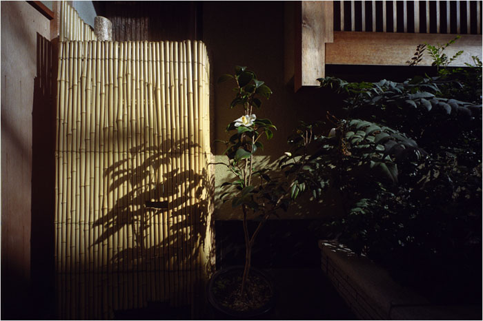 c0168172_22235788.jpg