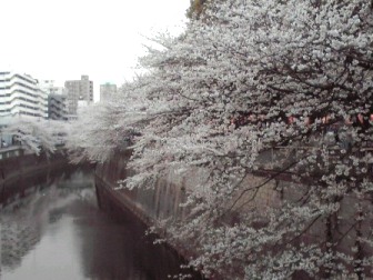 b0134673_1013379.jpg