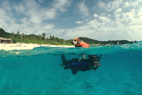 ネーミング塾、ワークショップ_b0141773_073726.jpg