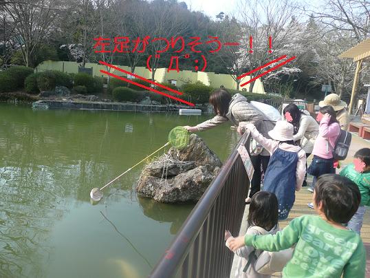 安佐動物園にお花見に行って来ました_a0145374_22135562.jpg