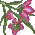 c0201080_1654725.gif