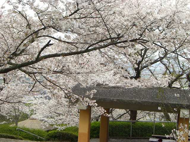 a0082884_11563581.jpg