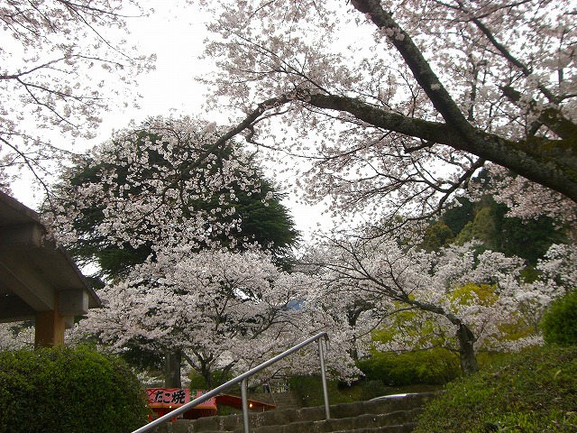 a0082884_11565326.jpg