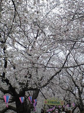 c0206084_14172012.jpg