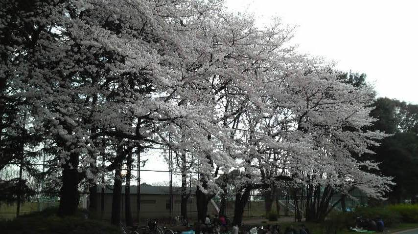 b0134285_0121892.jpg