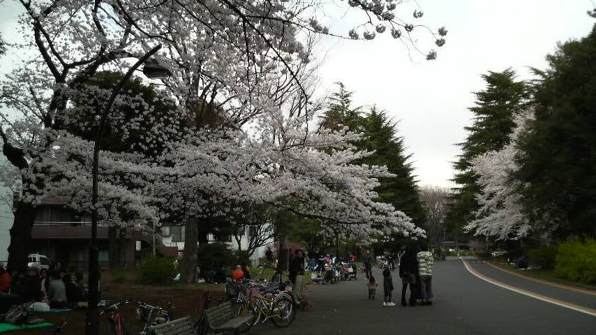 b0134285_0125442.jpg