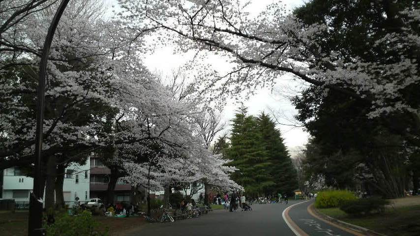 b0134285_013076.jpg