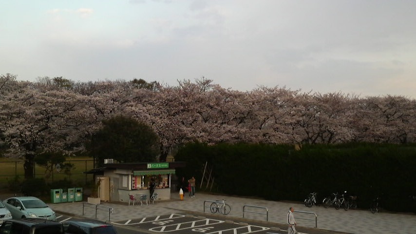 b0134285_0145339.jpg