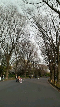 b0134285_083334.jpg