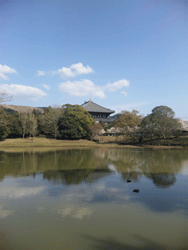 春の東大寺_c0220592_11152678.gif